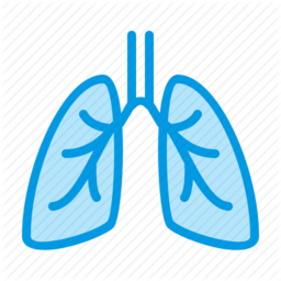 Images/lungs.ico